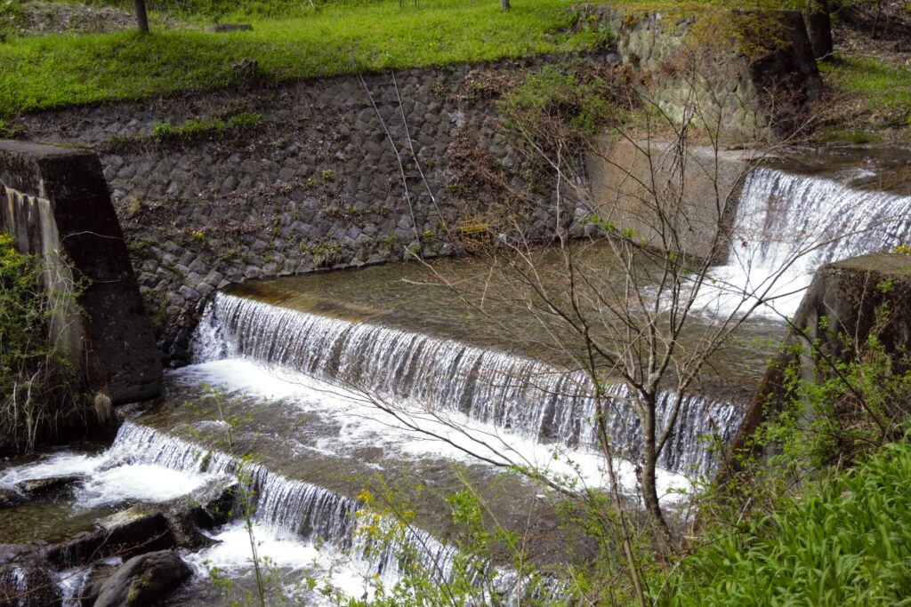 出早公園隣接の横河川　春の風景
