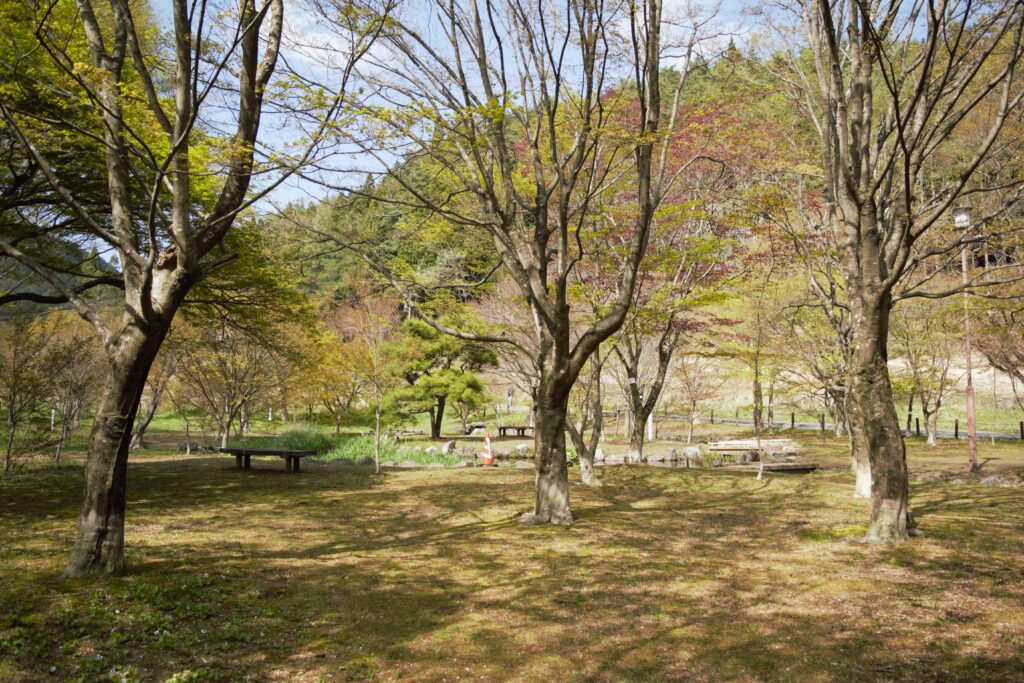 長野県　岡谷市　出早公園　2026年4月