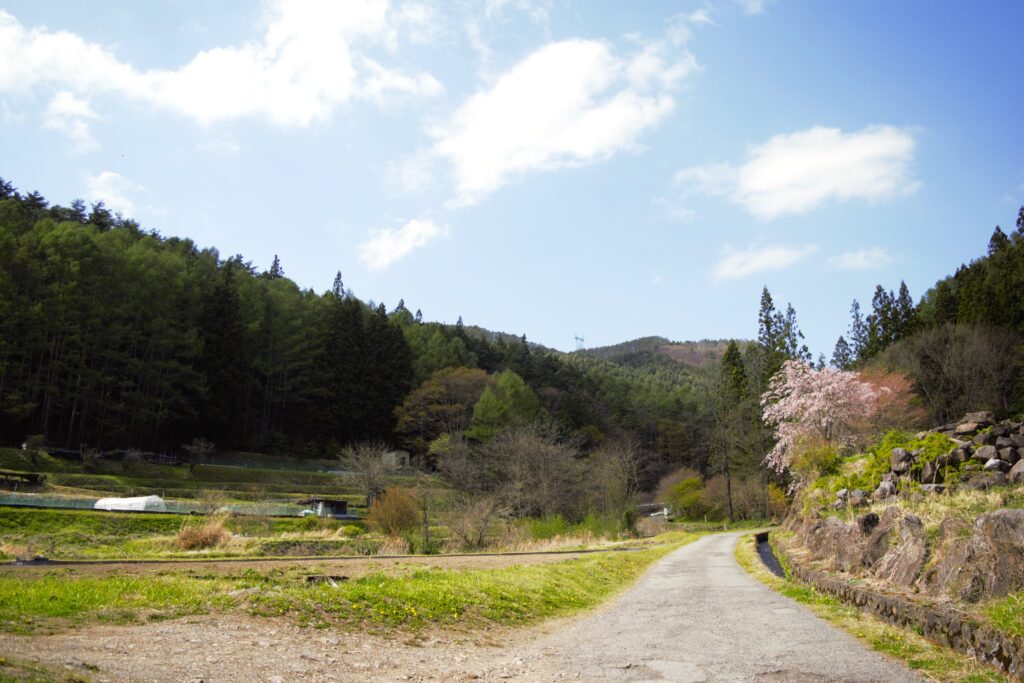 出早公園近く山里の風景　山桜が咲く