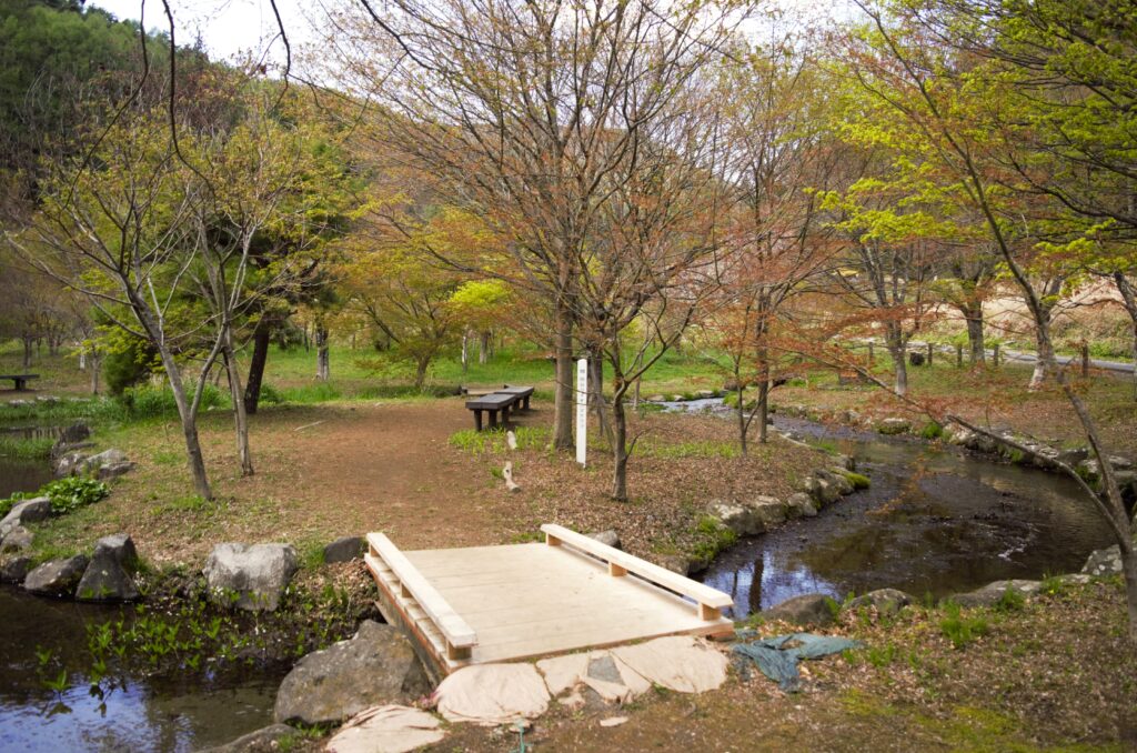 春の出早公園　遊水池にも様々な草花が自生する　休憩ベンチあり