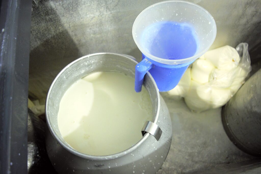 ポカラの乳製品専門店のバッファローミルク　搾りたて　濃厚で美味しい