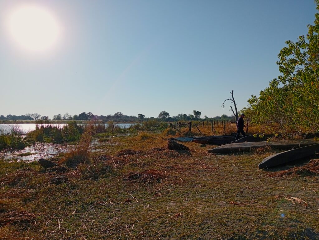 世界遺産オカバンゴデルタ　モコロステーションの風景　乾季