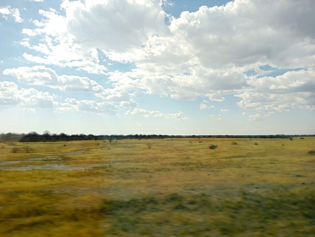 ボツワナ・ハバロネ⇒マウンの道中の車窓からの風景　広大な草原と低い雲　