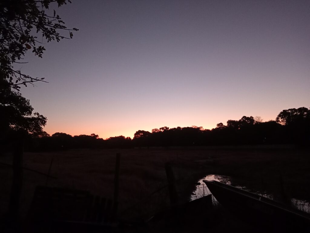 The Old Bridge Backpackersから見るオカバンゴデルタの夕暮れの風景　人口灯はない