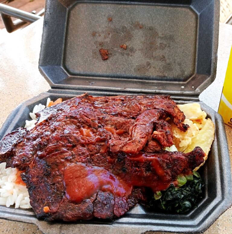 ボツワナ・カサネ　ステーキ弁当
巨大なビーフステーキ、ピラフ、ポテトや豆、野菜の惣菜
